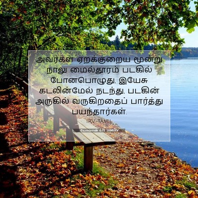 Picture 07 - யோவான் 6:19 TAMIRV - அவர்கள் ஏறக்குறைய - Bible Verse Picture