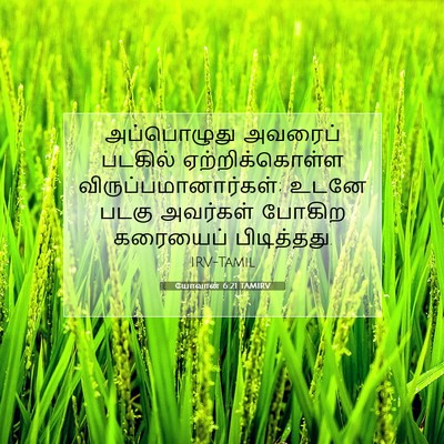 Picture 07 - யோவான் 6:21 TAMIRV - அப்பொழுது அவரைப் - Bible Verse Picture