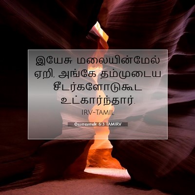 Picture 07 - யோவான் 6:3 TAMIRV - இயேசு மலையின்மேல் - Bible Verse Picture