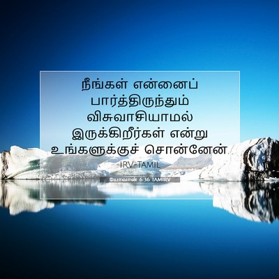 Picture 07 - யோவான் 6:36 TAMIRV - நீங்கள் என்னைப் - Bible Verse Picture