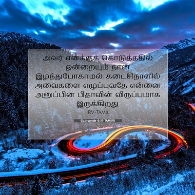 Picture 07 - யோவான் 6:39 TAMIRV - அவர் எனக்குக் - Bible Verse Picture