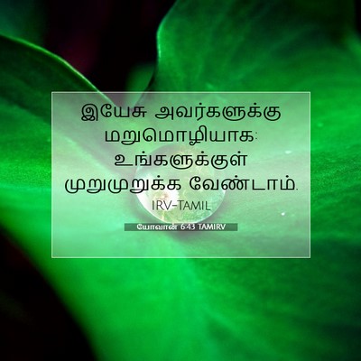Picture 07 - யோவான் 6:43 TAMIRV - இயேசு அவர்களுக்கு - Bible Verse Picture