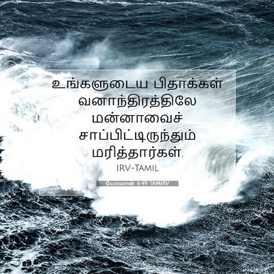 Picture 07 - யோவான் 6:49 TAMIRV - உங்களுடைய - Bible Verse Picture