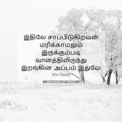 Picture 07 - யோவான் 6:50 TAMIRV - இதிலே - Bible Verse Picture