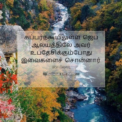 Picture 07 - யோவான் 6:59 TAMIRV - கப்பர்நகூமிலுள்ள - Bible Verse Picture