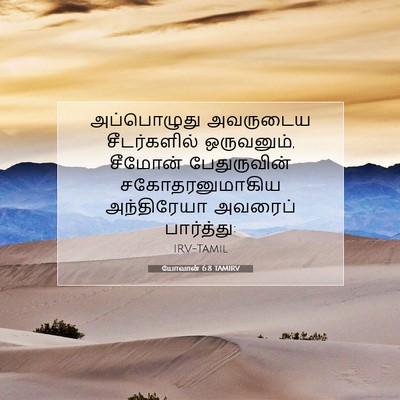 Picture 07 - யோவான் 6:8 TAMIRV - அப்பொழுது அவருடைய - Bible Verse Picture