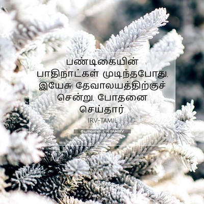 Picture 07 - யோவான் 7:14 TAMIRV - பண்டிகையின் - Bible Verse Picture