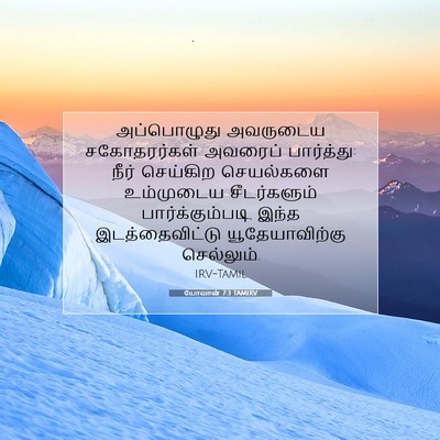 Picture 07 - யோவான் 7:3 TAMIRV - அப்பொழுது அவருடைய - Bible Verse Picture