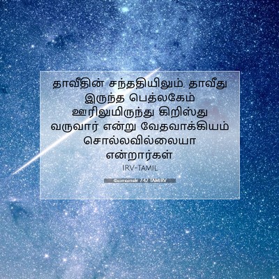 Picture 07 - யோவான் 7:42 TAMIRV - தாவீதின் - Bible Verse Picture