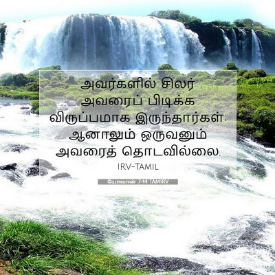 Picture 07 - யோவான் 7:44 TAMIRV - அவர்களில் சிலர் - Bible Verse Picture