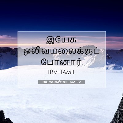 Picture 07 - யோவான் 8:1 TAMIRV - இயேசு - Bible Verse Picture