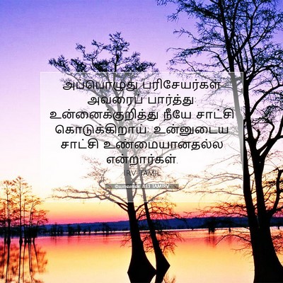 Picture 07 - யோவான் 8:13 TAMIRV - அப்பொழுது - Bible Verse Picture