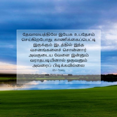 Picture 07 - யோவான் 8:20 TAMIRV - தேவாலயத்திலே - Bible Verse Picture