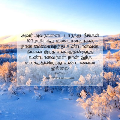 Picture 07 - யோவான் 8:23 TAMIRV - அவர் அவர்களைப் - Bible Verse Picture