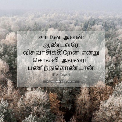 Picture 07 - யோவான் 9:38 TAMIRV - உடனே அவன்: ஆண்டவரே, - Bible Verse Picture