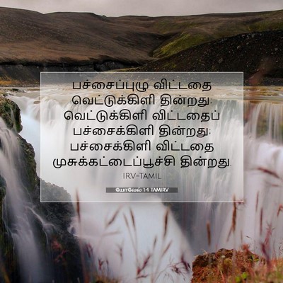 Picture 07 - யோவேல் 1:4 TAMIRV - பச்சைப்புழு - Bible Verse Picture