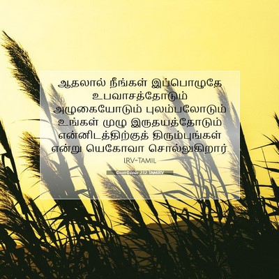Picture 07 - யோவேல் 2:12 TAMIRV - ஆதலால் நீங்கள் - Bible Verse Picture