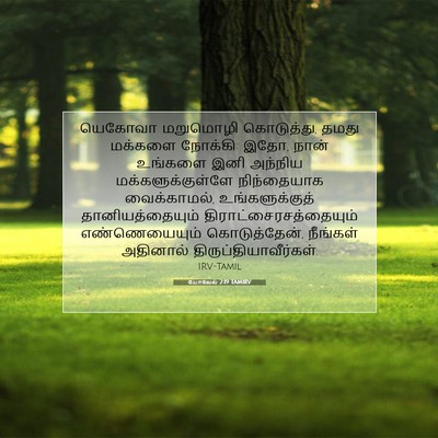 Picture 07 - யோவேல் 2:19 TAMIRV - யெகோவா மறுமொழி - Bible Verse Picture