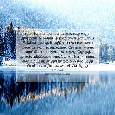 Picture 07 - யோவேல் 2:20 TAMIRV - வடதிசைப் படையை - Bible Verse Picture