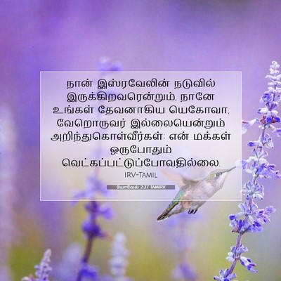Picture 07 - யோவேல் 2:27 TAMIRV - நான் இஸ்ரவேலின் - Bible Verse Picture