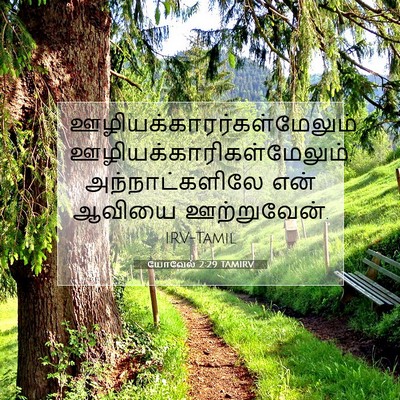Picture 07 - யோவேல் 2:29 TAMIRV -  - Bible Verse Picture