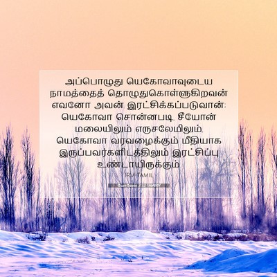 Picture 07 - யோவேல் 2:32 TAMIRV - அப்பொழுது - Bible Verse Picture