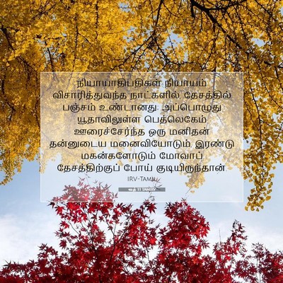 Picture 07 - ரூத் 1:1 TAMIRV - நியாயாதிபதிகள் - Bible Verse Picture