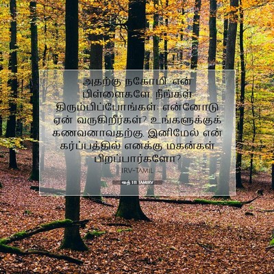 Picture 07 - ரூத் 1:11 TAMIRV - அதற்கு நகோமி: என் - Bible Verse Picture
