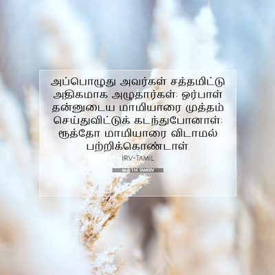 Picture 07 - ரூத் 1:14 TAMIRV - அப்பொழுது அவர்கள் - Bible Verse Picture