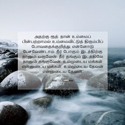 Picture 07 - ரூத் 1:16 TAMIRV - அதற்கு ரூத்: நான் - Bible Verse Picture
