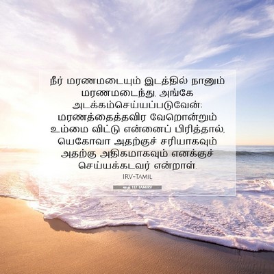 Picture 07 - ரூத் 1:17 TAMIRV - நீர் மரணமடையும் - Bible Verse Picture