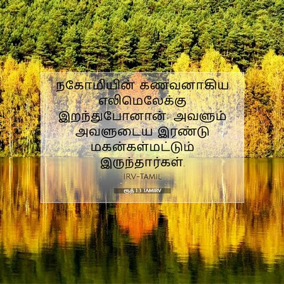 Picture 07 - ரூத் 1:3 TAMIRV - நகோமியின் - Bible Verse Picture