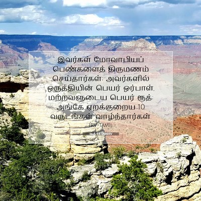 Picture 07 - ரூத் 1:4 TAMIRV - இவர்கள் மோவாபியப் - Bible Verse Picture