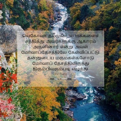 Picture 07 - ரூத் 1:6 TAMIRV - யெகோவா தம்முடைய - Bible Verse Picture