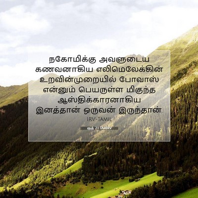 Picture 07 - ரூத் 2:1 TAMIRV - நகோமிக்கு அவளுடைய - Bible Verse Picture