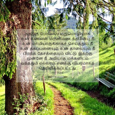 Picture 07 - ரூத் 2:11 TAMIRV - அதற்கு போவாஸ் - Bible Verse Picture