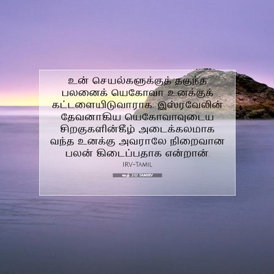 Picture 07 - ரூத் 2:12 TAMIRV - உன் - Bible Verse Picture
