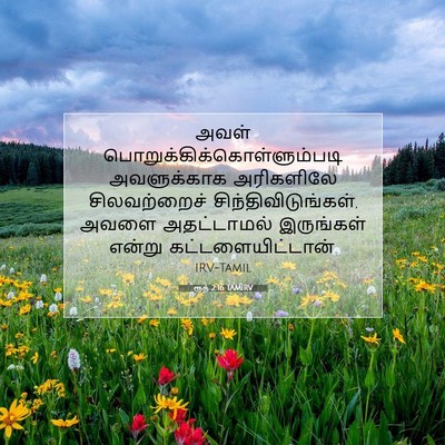 Picture 07 - ரூத் 2:16 TAMIRV - அவள் - Bible Verse Picture