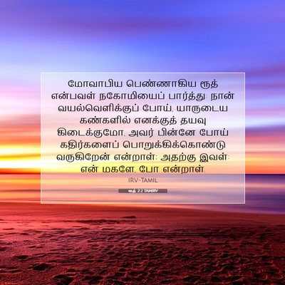 Picture 07 - ரூத் 2:2 TAMIRV - மோவாபிய பெண்ணாகிய - Bible Verse Picture