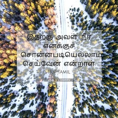 Picture 07 - ரூத் 3:5 TAMIRV - இதற்கு அவள்: நீர் - Bible Verse Picture