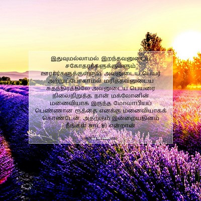 Picture 07 - ரூத் 4:10 TAMIRV - இதுவுமல்லாமல், - Bible Verse Picture