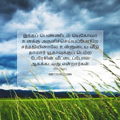 Picture 07 - ரூத் 4:12 TAMIRV - இந்தப் பெண்ணிடம் - Bible Verse Picture
