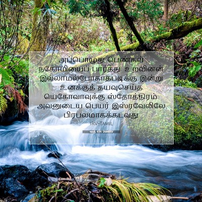 Picture 07 - ரூத் 4:14 TAMIRV - அப்பொழுது பெண்கள் - Bible Verse Picture
