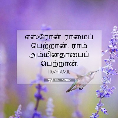 Picture 07 - ரூத் 4:19 TAMIRV - எஸ்ரோன் ராமைப் - Bible Verse Picture