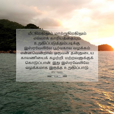 Picture 07 - ரூத் 4:7 TAMIRV - மீட்கிறதிலும் - Bible Verse Picture
