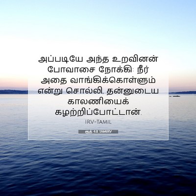 Picture 07 - ரூத் 4:8 TAMIRV - அப்படியே அந்த - Bible Verse Picture
