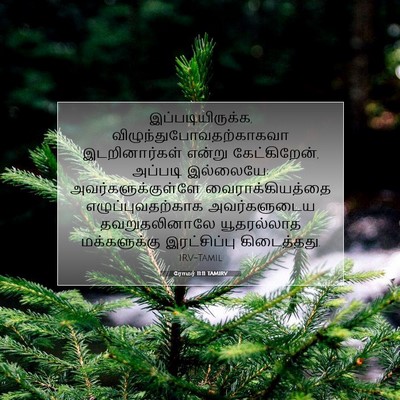 Picture 07 - ரோமர் 11:11 TAMIRV - இப்படியிருக்க, - Bible Verse Picture