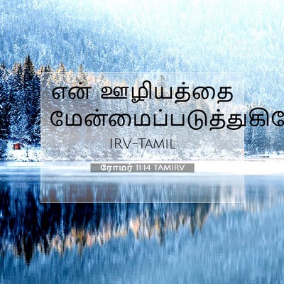 Picture 07 - ரோமர் 11:14 TAMIRV - என் ஊழியத்தை - Bible Verse Picture