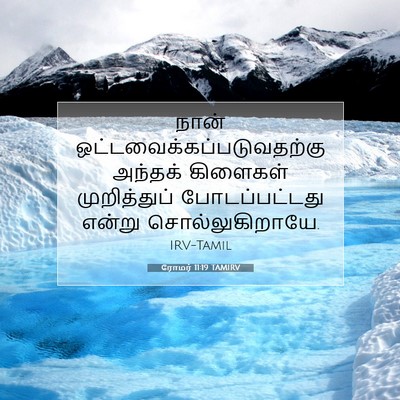 Picture 07 - ரோமர் 11:19 TAMIRV - நான் - Bible Verse Picture