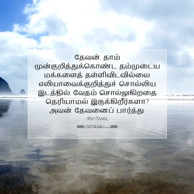 Picture 07 - ரோமர் 11:2 TAMIRV - தேவன், தாம் - Bible Verse Picture